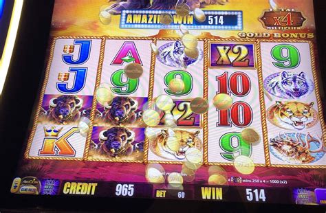 how to win on buffalo gold slot machine|Buffalo Gold: The Perfect Sequel – Know Your Slots.